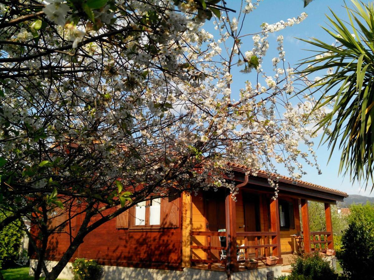 Mi Cabana Ribadumia Exterior photo